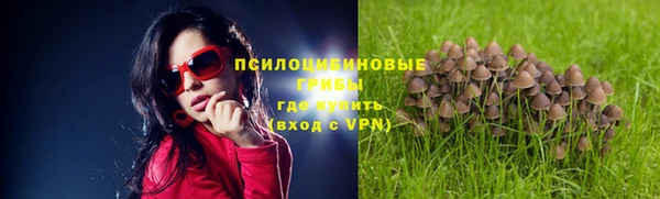 кристаллы Бородино
