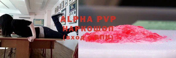 стаф Бугульма