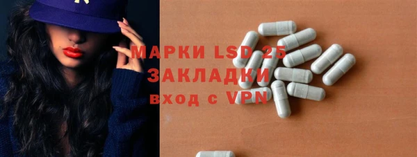 дживик Бронницы