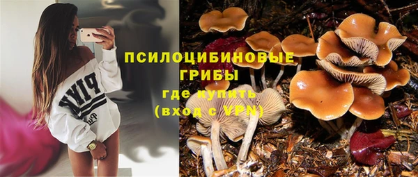 стаф Бугульма