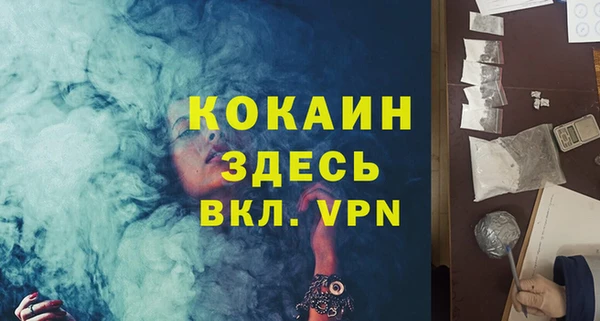 дживик Бронницы