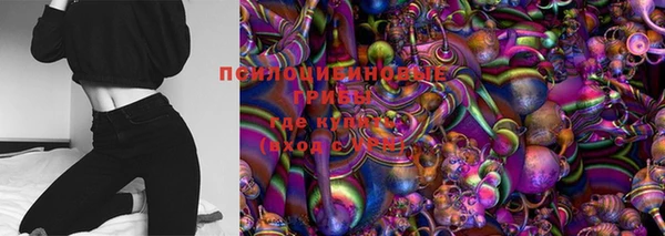 дживик Бронницы