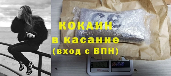 дживик Бронницы