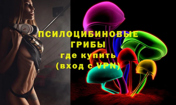 дживик Бронницы