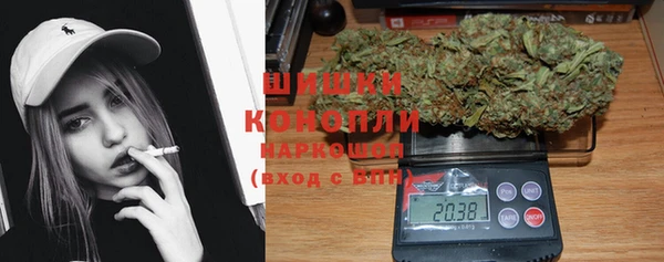 дживик Бронницы