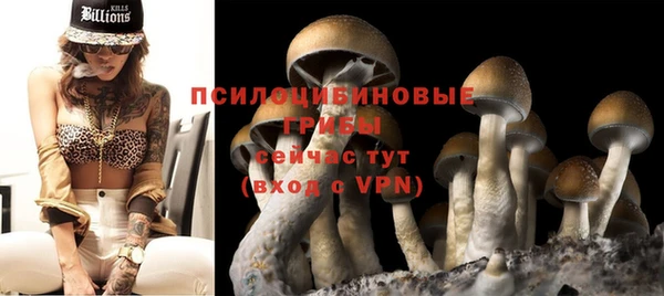 стаф Бугульма