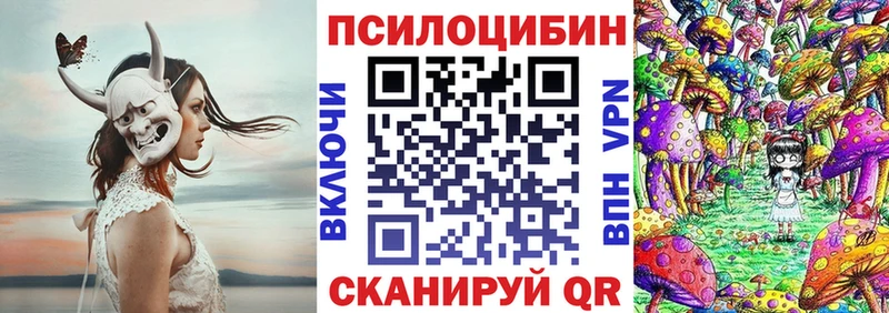 Купить  Болохово  Псилоцибиновые грибы прущие грибы 