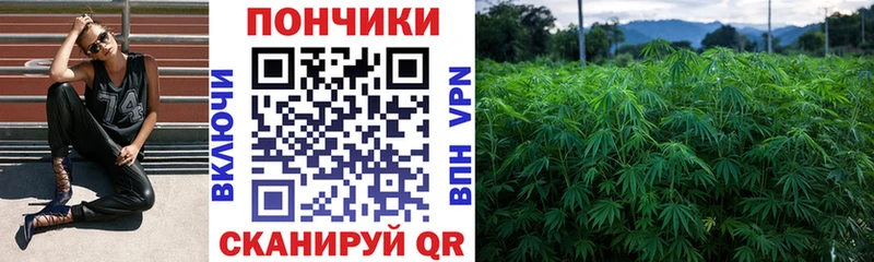 Канабис SATIVA & INDICA  Купить  Болохово 